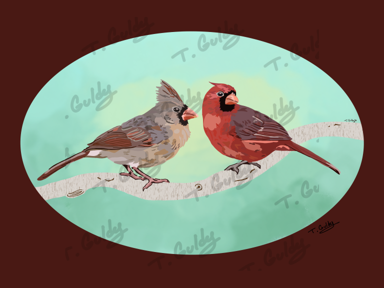 Cardinalcouplesafe
