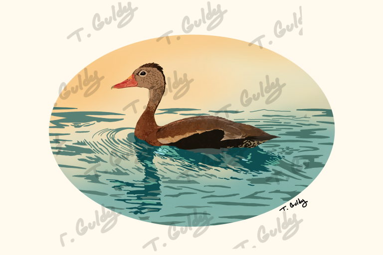 duck print