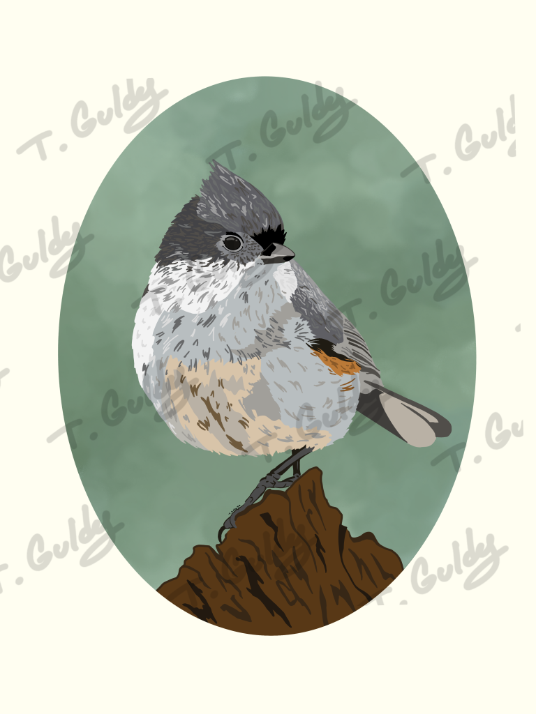 titmouse print