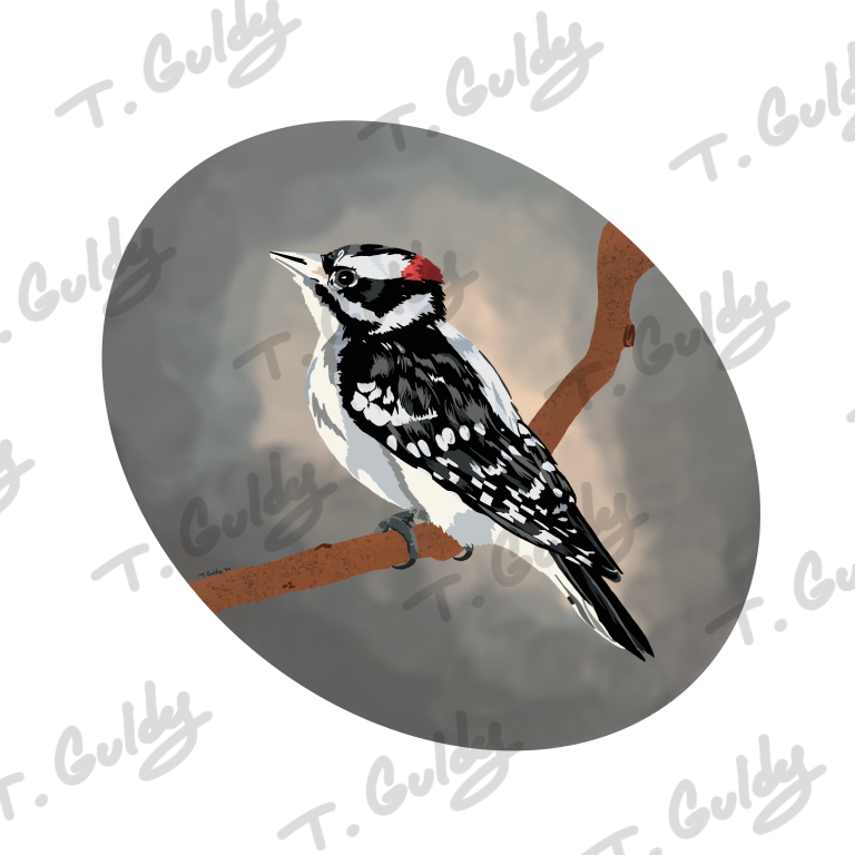 woodpecker print