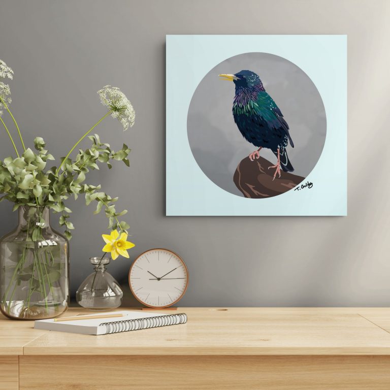 starling print on wall