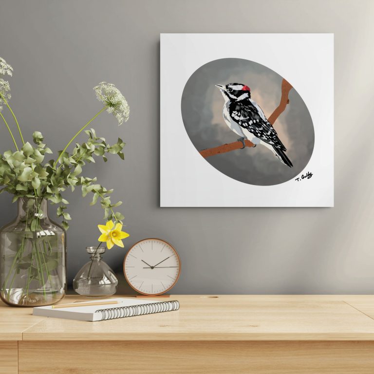 woodpecker print on wall