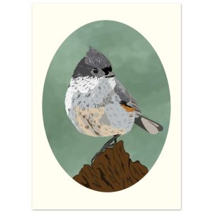 Tufted Titmouse 13x18 cm / 5x7″