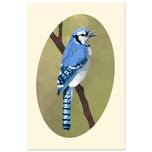 Blue Jay Print 12x18"
