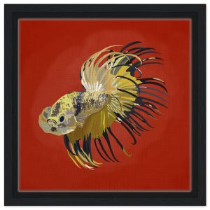 Betta Three Framed Canvas 30x30 cm / 12x12″