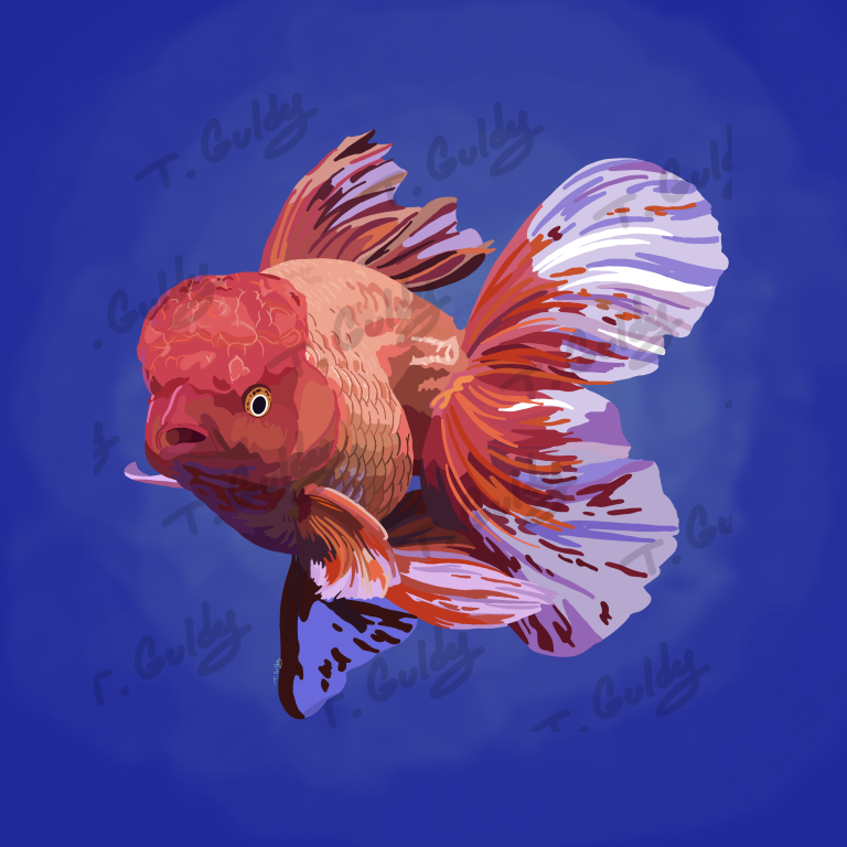 Goldfishsignover