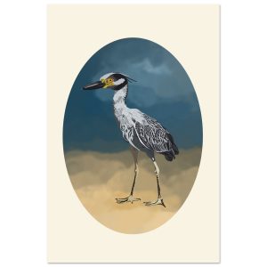 Yellow Crowned Night Heron 12x18″