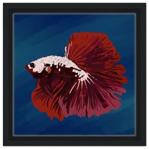 Betta Four Framed Canvas 30x30 cm / 12x12″