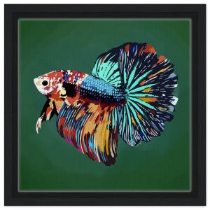 Betta One Framed Canvas 30x30 cm / 12x12″