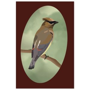 Cedar Waxwing 12x18″