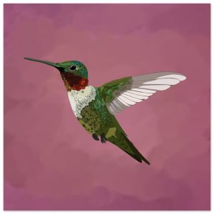 Hummingbird Print 25x25 cm / 10x10″