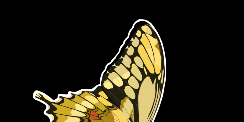 Butterfly Background